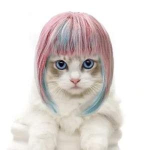 Cute Pink–Blue Kitty Wig