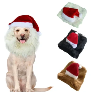 Dog Santa hat lion wig