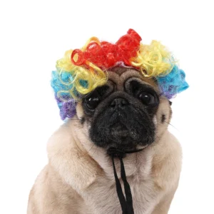 Funny Curly Wig for Small Pets