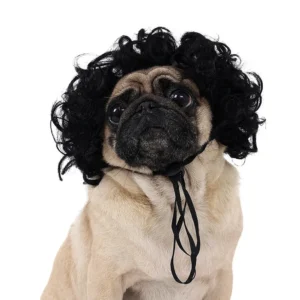 Funny Curly Wig for Small Pets