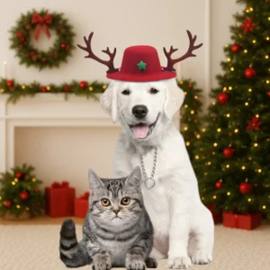 Reindeer Hat & Christmas Collar Set